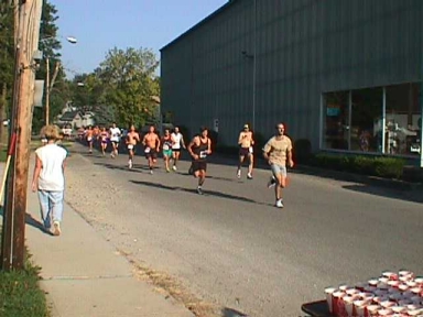 Here comes the pack !!