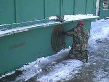 Saving a Blue Goose memory