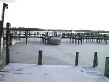 One patron will never give up