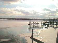 The Open Water: A haven for Geese