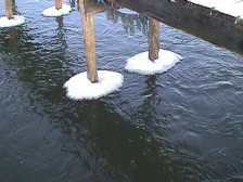 The weather leaves it's mark on dock posts