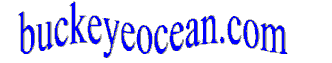 Buckeye Ocean Logo